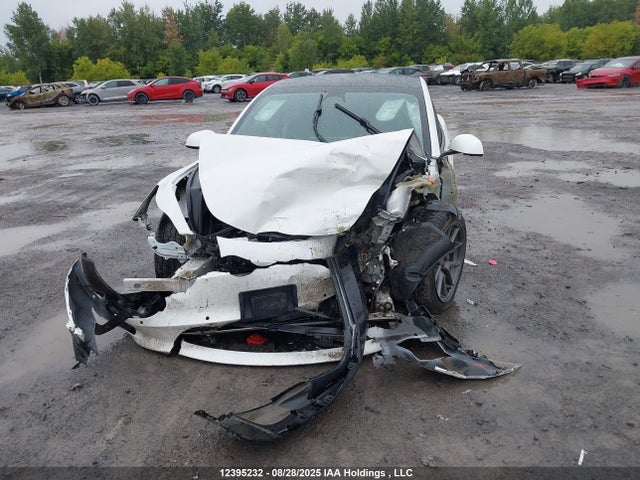 Tesla MODEL 3 2021 5YJ3E1EA8MF852514 Image 11