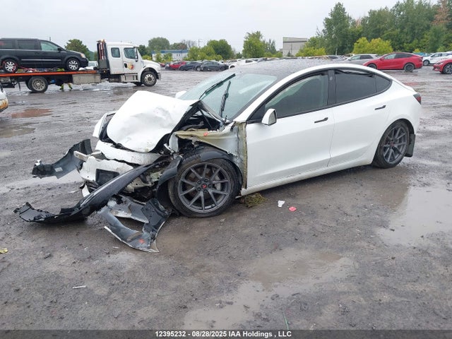Tesla MODEL 3 2021 5YJ3E1EA8MF852514 Image 2