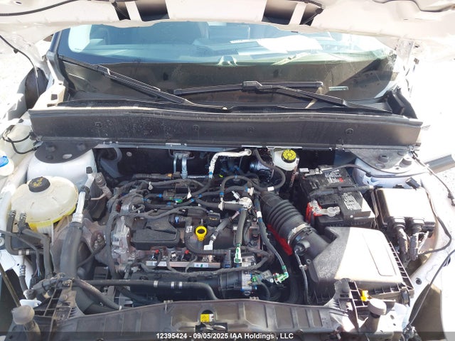 3FMCR9B62RRF08245 Ford dragon