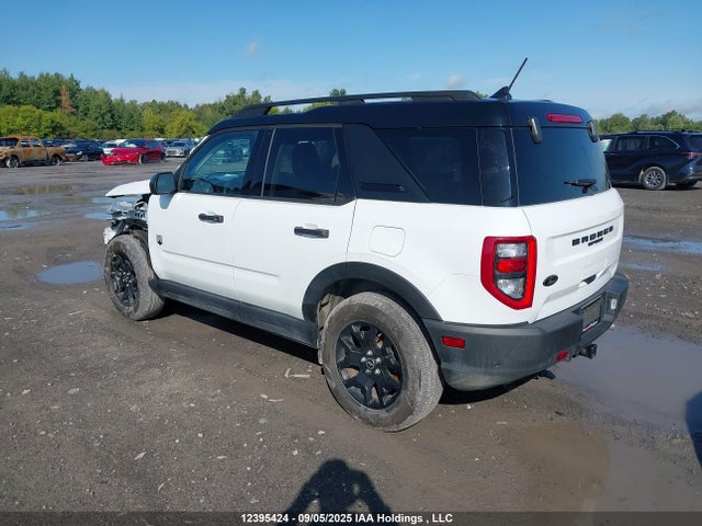 3FMCR9B62RRF08245 Ford dragon