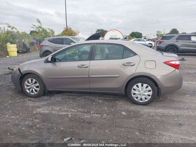 2T1BURHE5EC101016 Toyota Corolla L/le/le Pls/prm/s/s Pls