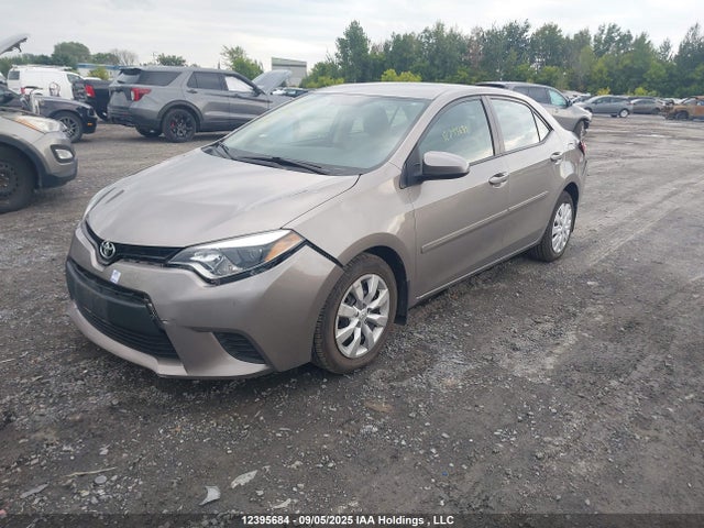 2T1BURHE5EC101016 Toyota Corolla L/le/le Pls/prm/s/s Pls