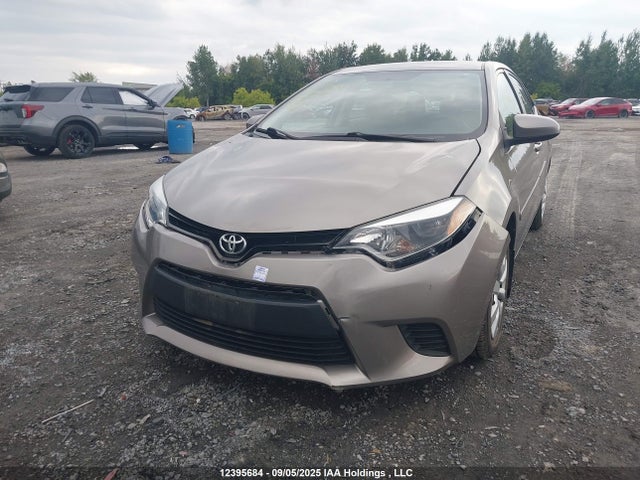 2T1BURHE5EC101016 Toyota Corolla L/le/le Pls/prm/s/s Pls