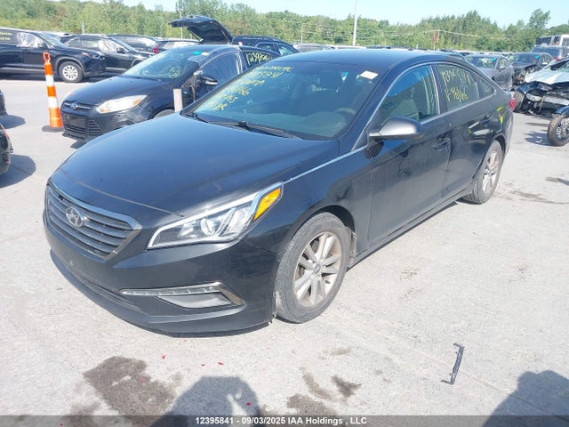 5NPE24AF1HH461166 Hyundai Sonata