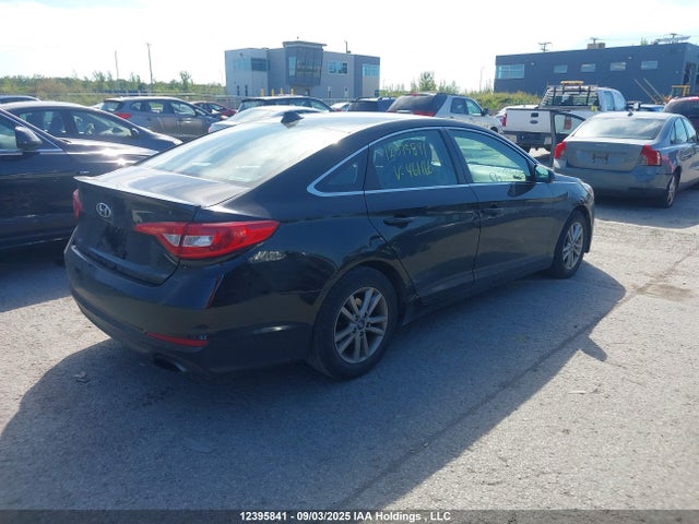 5NPE24AF1HH461166 Hyundai Sonata