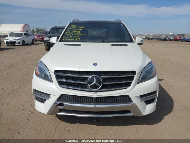 Mercedes-Benz Ml-Class 2014 4JGDA7DB8EA317458 Image 13