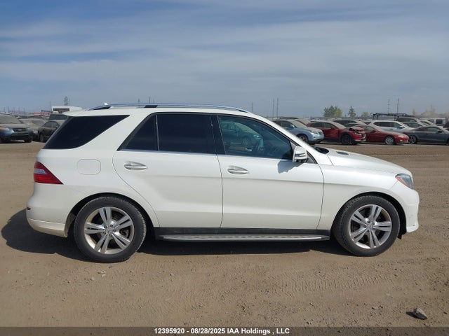 Mercedes-Benz Ml-Class 2014 4JGDA7DB8EA317458 Image 14