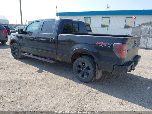 1FTFW1ET1EFB52939 Ford 2014