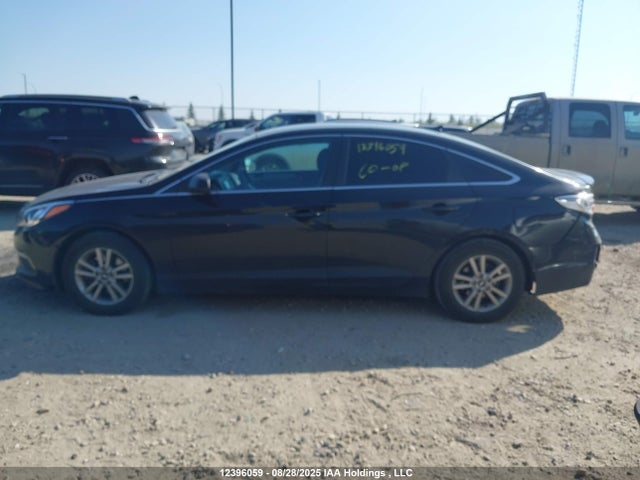 5NPE24AF9HH508184 Hyundai Sonata