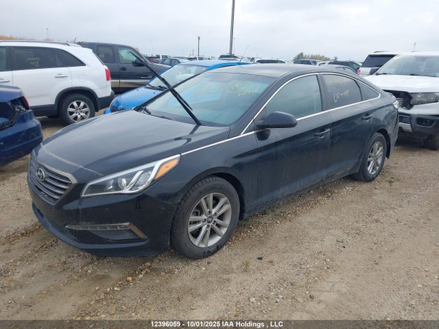 5NPE24AF9HH508184 Hyundai Sonata