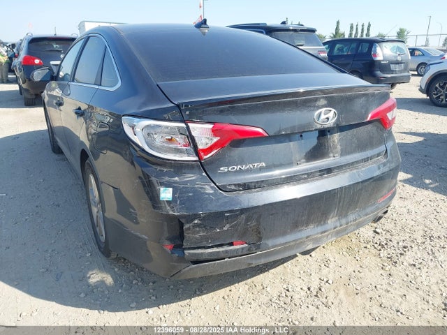 5NPE24AF9HH508184 Hyundai Sonata