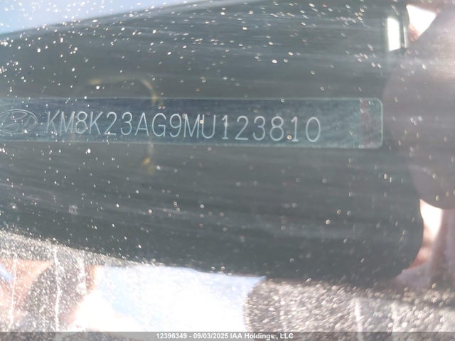 KM8K23AG9MU123810 Hyundai Kona