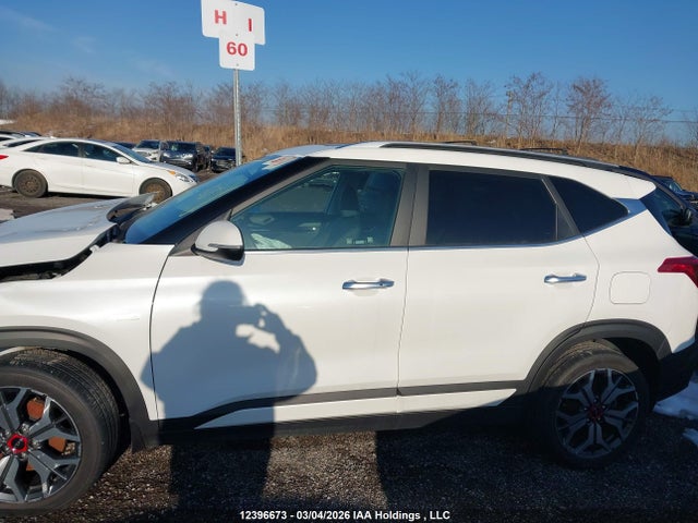 KNDETCA24N7284519 KIA Seltos