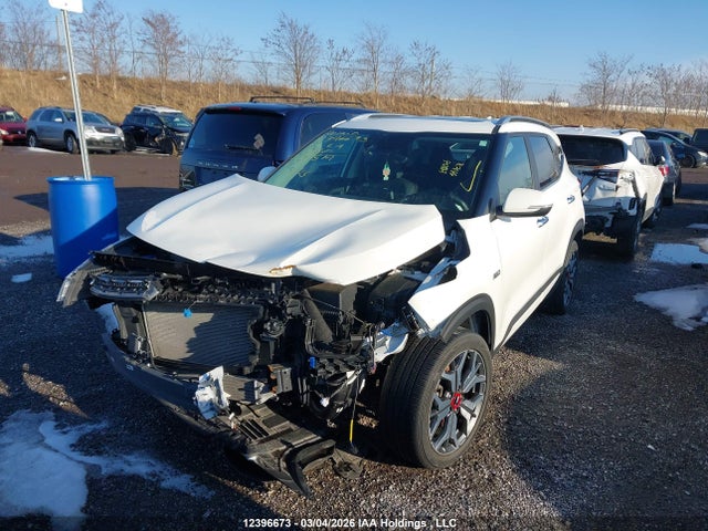 KNDETCA24N7284519 KIA Seltos
