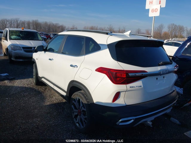 KNDETCA24N7284519 KIA Seltos