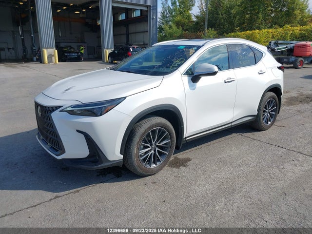 Lexus t24a-fts 2025 2T2GGCEZ3SC080269 Image 2