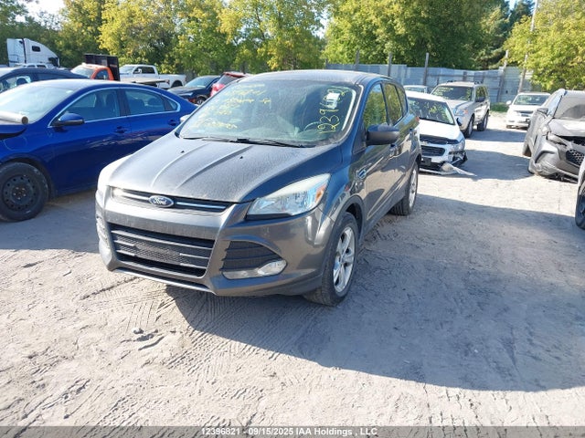1FMCU0G7XFUA84247 Ford Escape