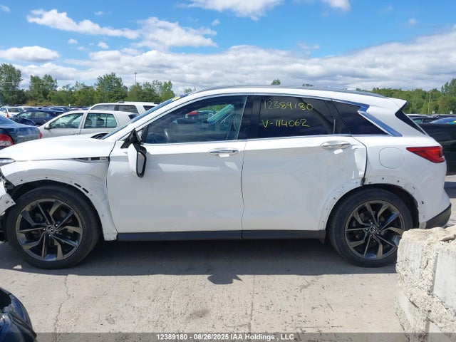 3PCAJ5M3XKF114062 Infiniti QX50