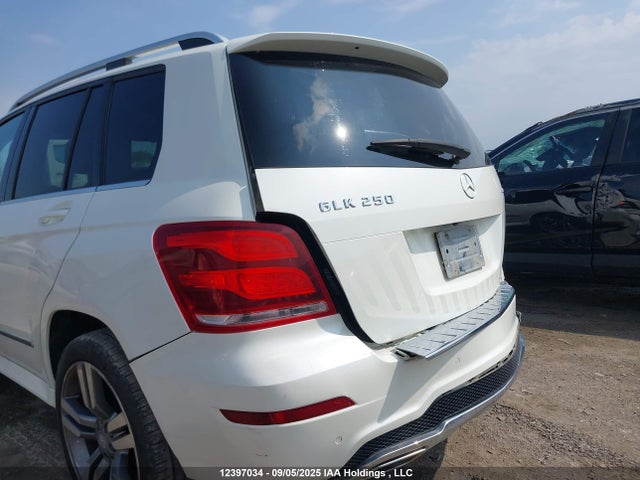 Mercedes-Benz Glk-Class 2014 WDCGG0EB0EG334378 Image 17