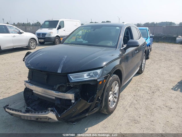 WA1ANAFYXK2144472 Audi 2019