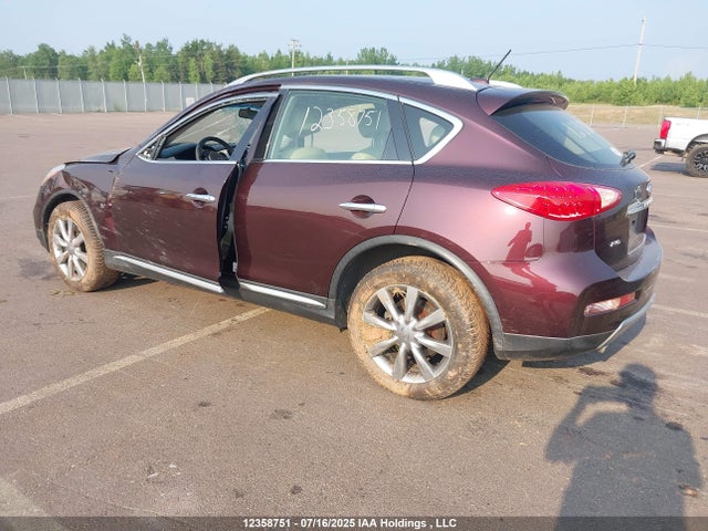 JN1BJ0RR7GM260165 Infiniti QX50