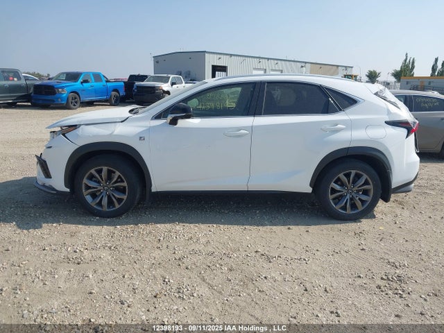JTJSARDZXL2218679 Lexus 8ar-fts