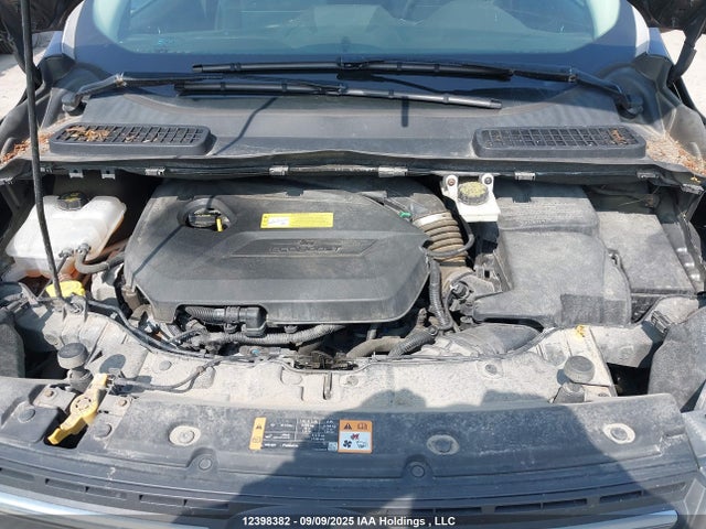 Ford 2014 2014 1FMCU0GX1EUB74045 Image 10