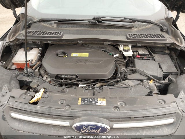 1FMCU0GX7EUB02847 Ford Escape
