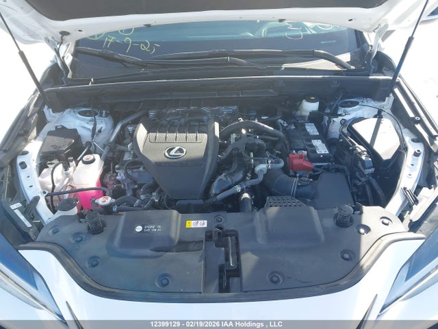 Lexus NX 350 2025 2T2KGCEZ9SC080724 Image 10