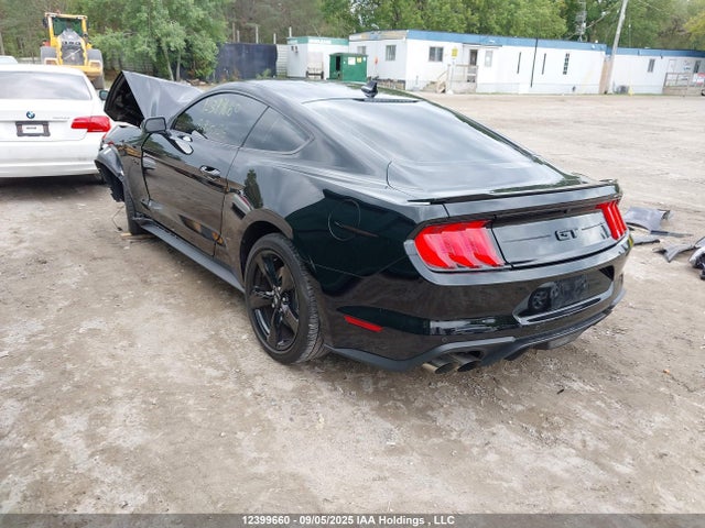 Ford tivct 2023 1FA6P8CF0P5302881 Image 3