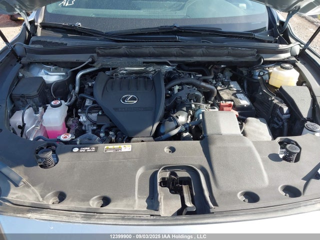 Lexus t24a-fts 2023 2T2BAMCAXPC014307 Image 10