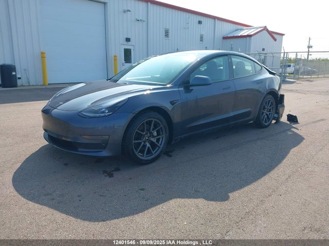 Tesla MODEL 3 2021 5YJ3E1EB4MF974165 Image 2