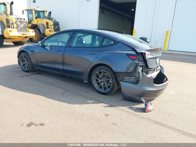 Tesla MODEL 3 2021 5YJ3E1EB4MF974165 Image 3