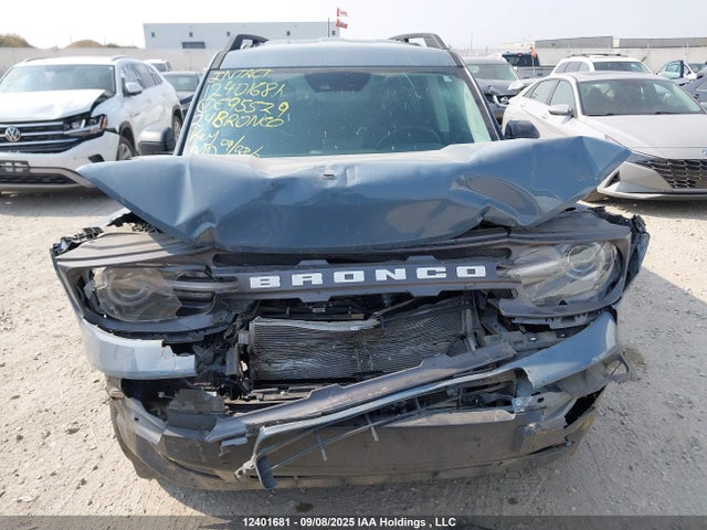 3FMCR9B64RRE95529 Ford dragon