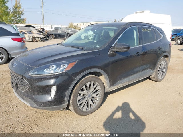 Ford hev/phev 2021 1FMCU9DZ3MUA15617 Image 2