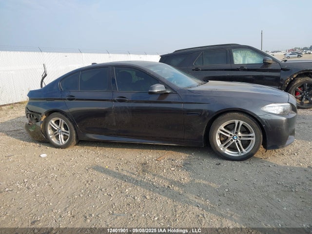 BMW 528I 2014 WBA5A7C56ED616639 Image 14