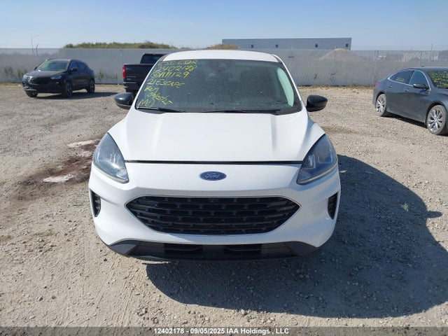 1FMCU9G61MUA11129 Ford dragon di tc
