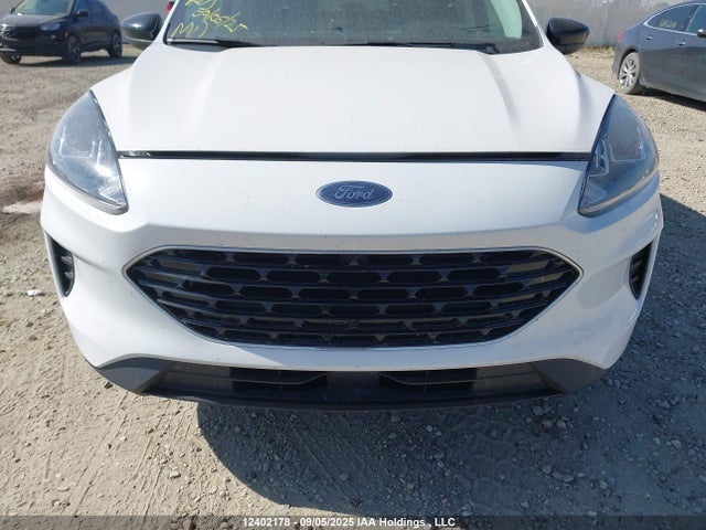 1FMCU9G61MUA11129 Ford dragon di tc