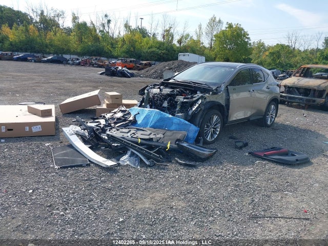 12402265 :رقم المزاد ، 2T2GGCEZ0PC031201 vin ، 2023 Lexus Nx 350 مزاد بيع