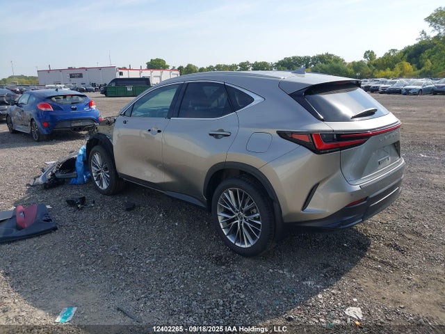 12402265 :رقم المزاد ، 2T2GGCEZ0PC031201 vin ، 2023 Lexus Nx 350 مزاد بيع