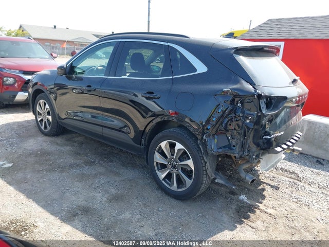 Ford gtdi a 2024 1FMCU9JA6RUA71735 Image 3