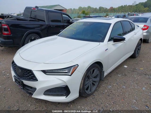 19UUB6F58PA800326 Acura Tlx A-spec