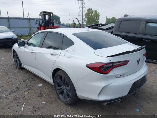 19UUB6F58PA800326 Acura Tlx A-spec