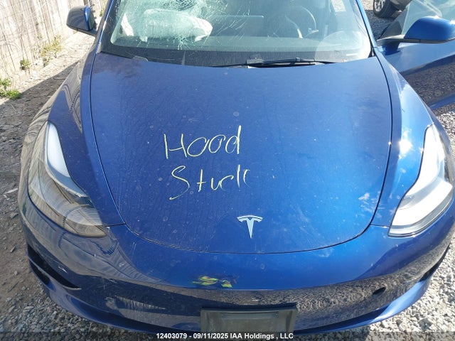 5YJ3E1EA6PF382956 Tesla MODEL 3