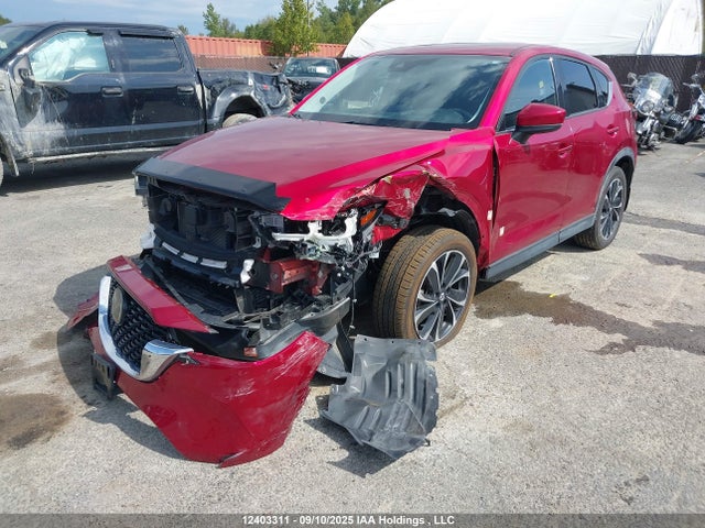 Mazda pyud 2023 JM3KFBDM3P0116682 Image 6