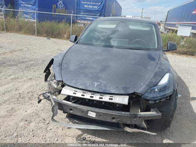 Aukcja sprzedaży 2023 Tesla Model Y Long Range, vin: LRWYGDEE3PC137126, numer aukcji: 12403333
