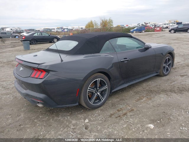 1FAGP8UH6R5134252 Ford 4v