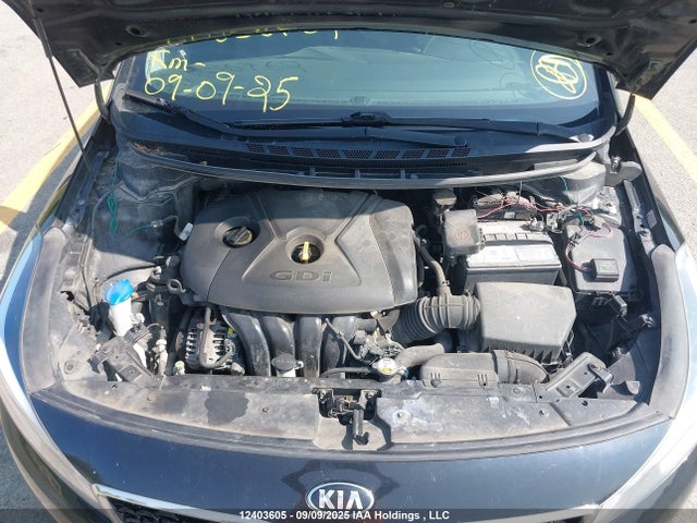 KIA gdi nu 2017 3KPFL4A88HE036762 Image 10