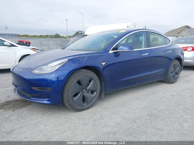 Tesla MODEL 3 2019 5YJ3E1EA2KF427996 Image 2