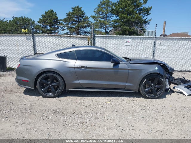 Ford Mustang 2021 1FA6P8TH6M5109843 Image 14